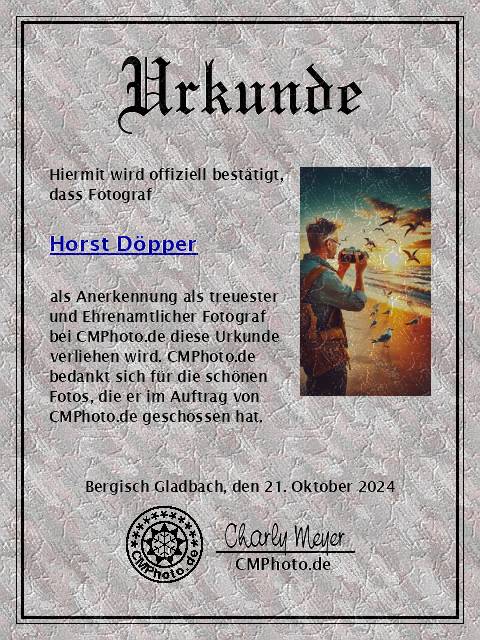 Urkunde-Horst-Döpper