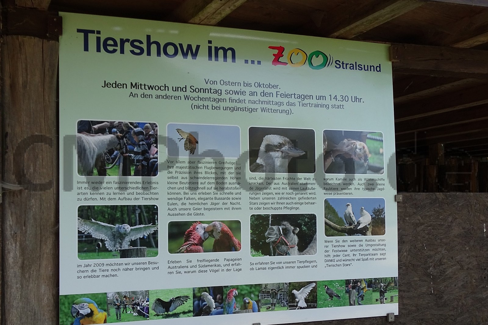 2023 - Juni - Stralsund-Tierpark