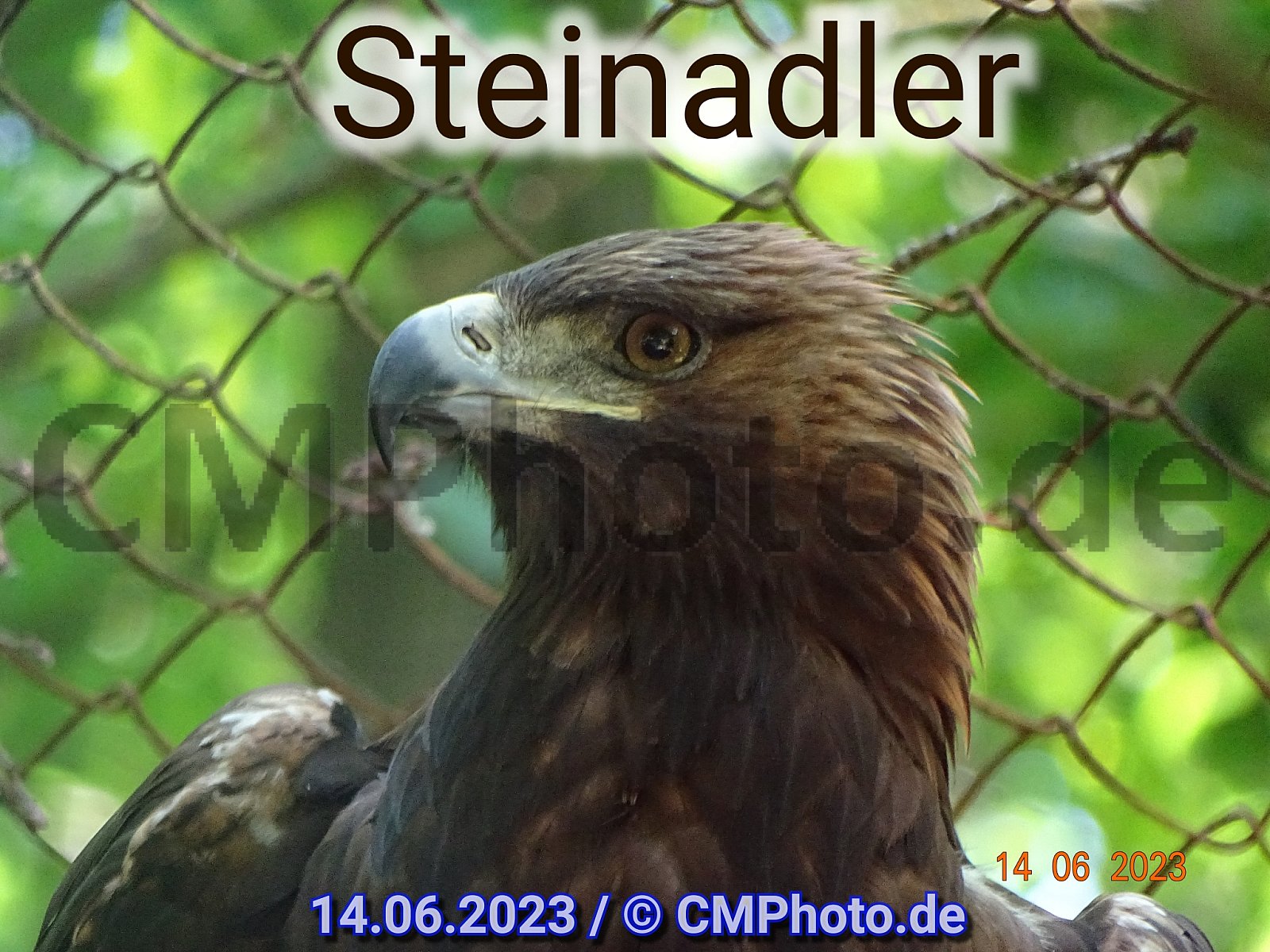 2023 - Juni - Stralsund-Tierpark